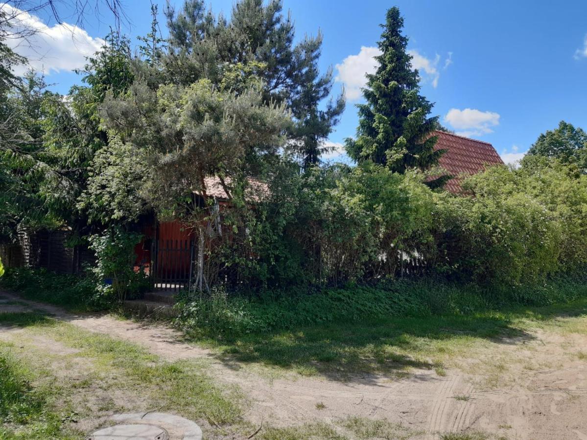 Luna Nad Jeziorem Wojnowko Gm Murowana Goslina Bagian luar foto
